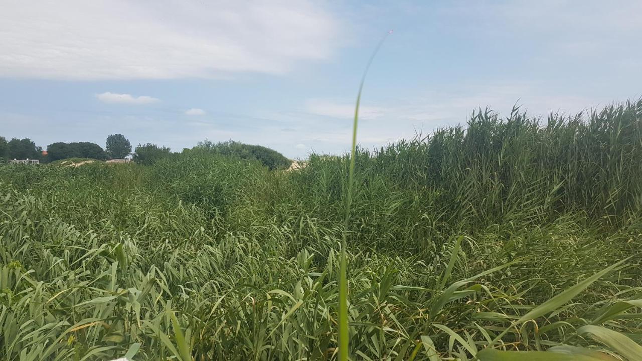 Студио Морски Бряг-Лозенец 外观 照片